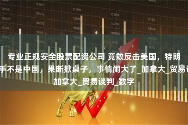 专业正规安全股票配资公司 竟敢反击美国，特朗普一看对手不是中国，果断掀桌子，事情闹大了_加拿大_贸易谈判_数字