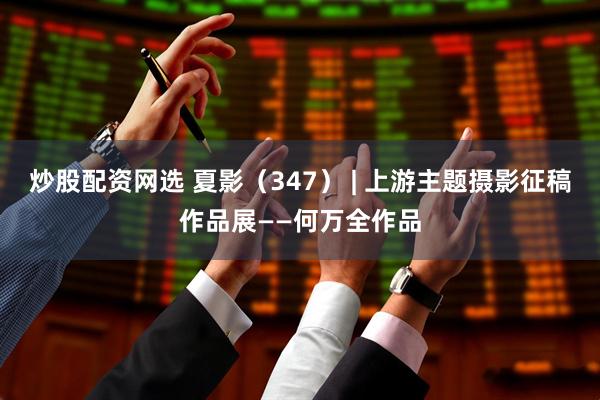炒股配资网选 夏影（347） | 上游主题摄影征稿作品展——何万全作品