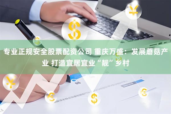 专业正规安全股票配资公司 重庆万盛：发展蘑菇产业 打造宜居宜业“靓”乡村