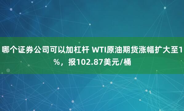 哪个证券公司可以加杠杆 WTI原油期货涨幅扩大至1%，报102.87美元/桶